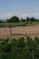 Rounders